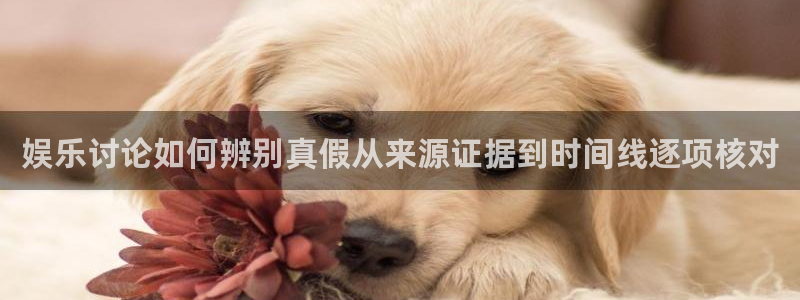 91吃瓜事件内容