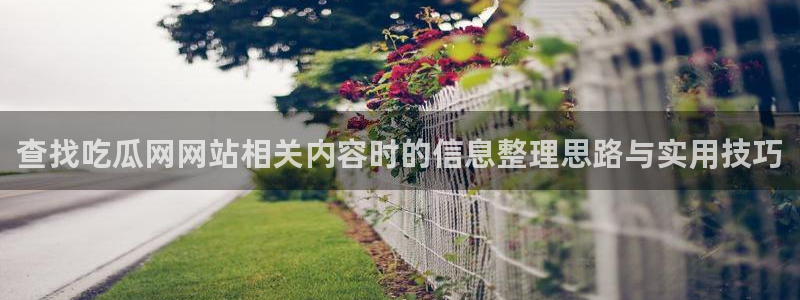 吃瓜网络事件