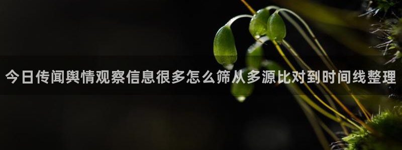 91吃瓜在线观看网页入口
