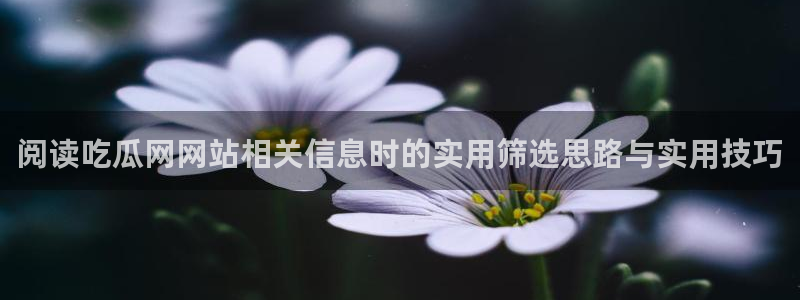 91吃瓜每日爆料:阅读吃瓜网网站相关信息时的实用筛选思路与实用技巧