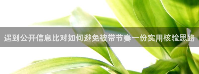 91吃瓜资讯榜:遇到公开信息比对如何避免被带节奏一份实用核验思路