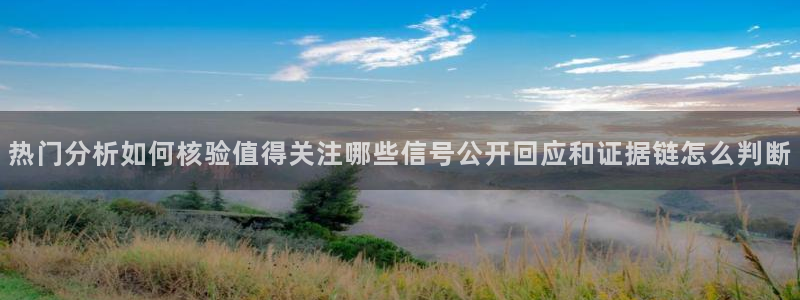 91吃瓜资讯网站:热门分析如何核验值得关注哪些信号公开回应和证据链怎么判断